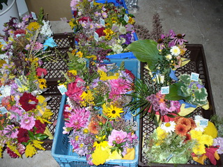 blumenvorrat